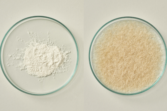 SUSTAINABLE RAW MATERIALS – SPIBER BREWED PROTEIN