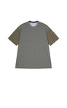 Grey-Black