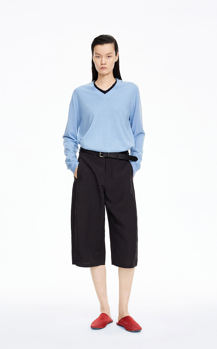 Sweater / JNBY V-neck Cashmere Wool Blend Pullover Blue