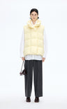 Pastel Yellow
