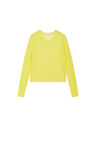 Primrose Yellow