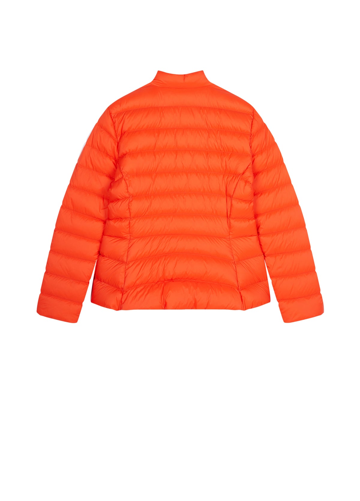 Jacket / JNBY Slim Fit Short Down Jacket with Stand Collar